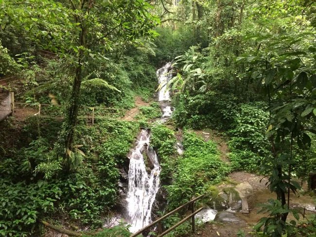 Searching for the Quetzal Photo