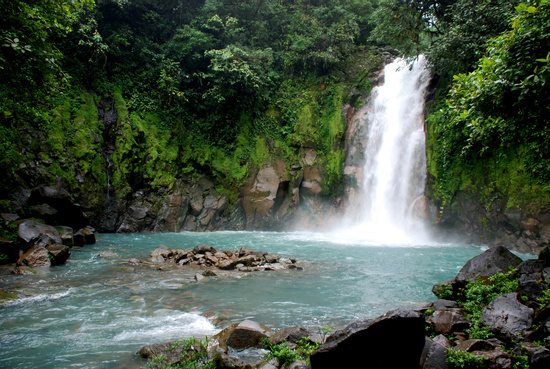 Rio Celeste and Tenorio Volcano Guided Rainforest Hike Photo