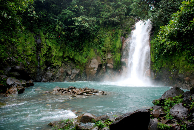 Rio Celeste & Tenorio Volcano Rainforest Photo