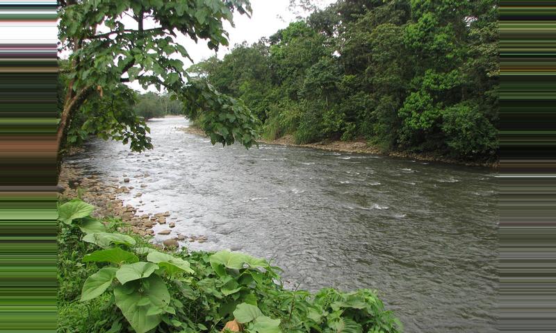 Sarapiquí River Rafting — Sarapiquí, Costa Rica