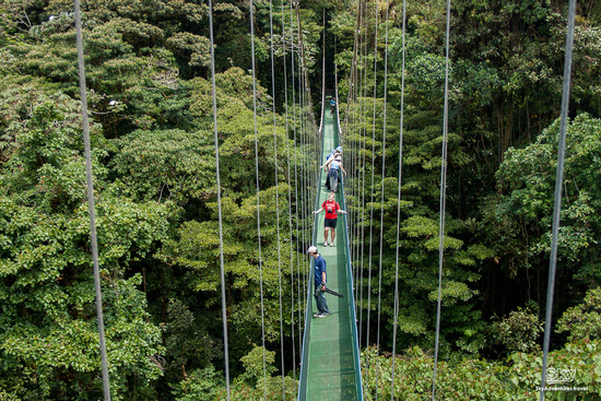 Sky Tram and Sky Walk Arenal Photo