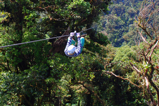 Sky Tram and Sky Trek Monteverde Photo