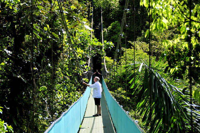 Sky Walk Arenal Photo