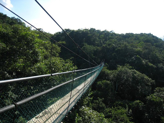 Tour Sky Way Puentes Colgantes – INP Photo