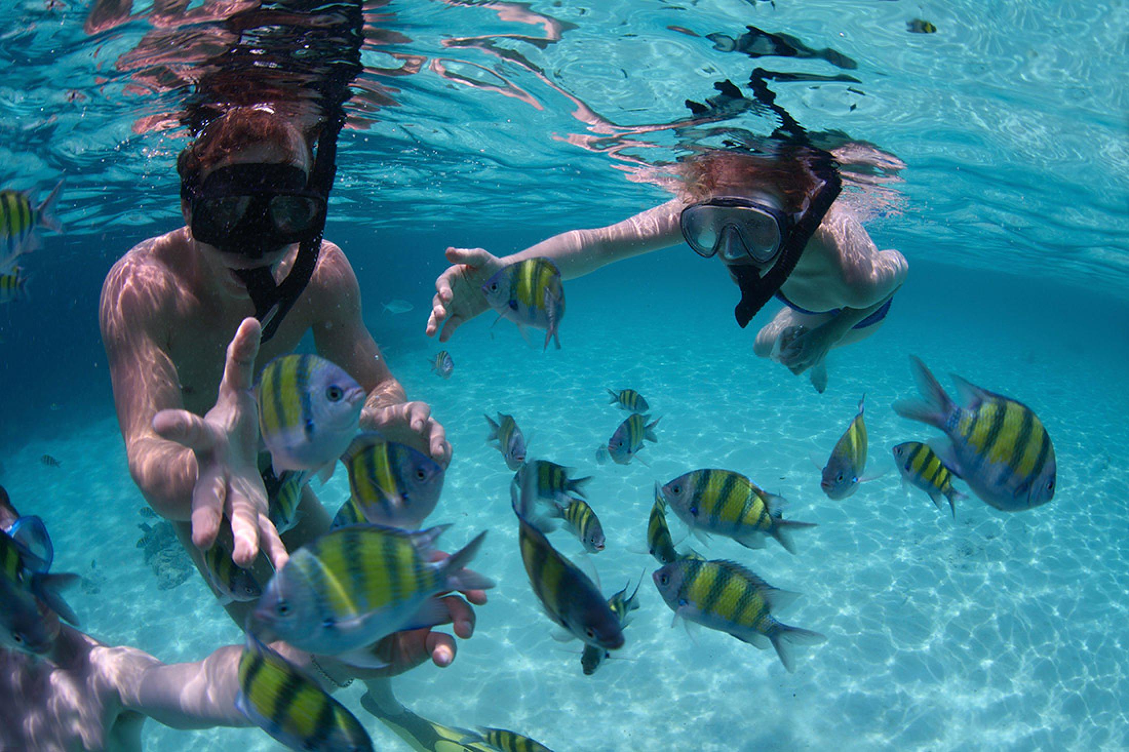 Snorkel Mexico Rocks San Pedro, Belize