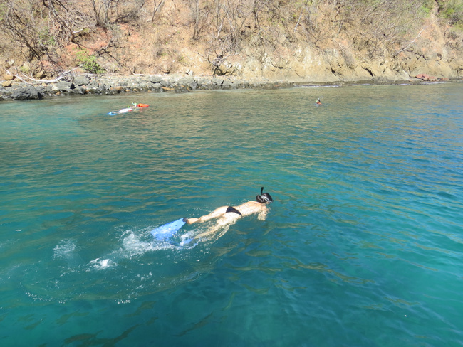 Tour de snorkeling en Playa Flamingo Photo