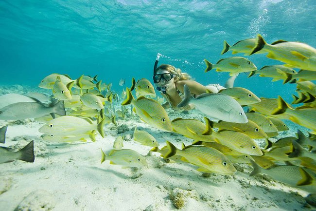 Snorkel Hol Chan y Stingray Alley Photo