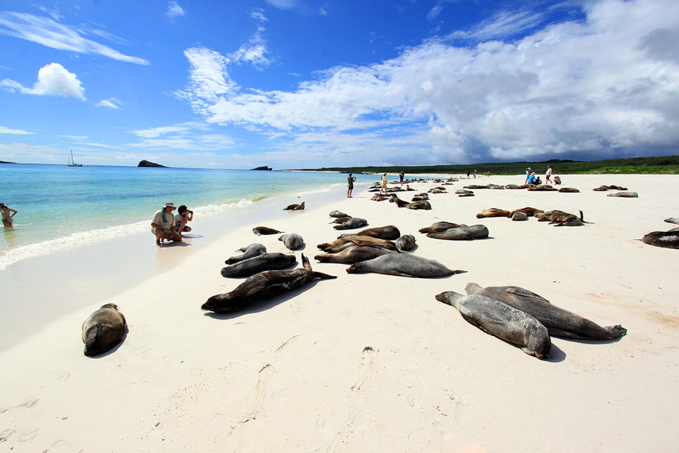 Isla Plaza Sur - Galápagos, Ecuador