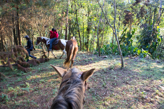 Sunset  Horseback Ride Photo