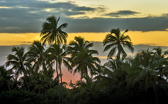 Enchanting Sunset Sailing Cruise Experience Photo