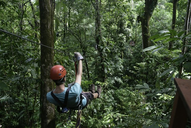 The Flight of the Toucan Zip Line Tour Photo