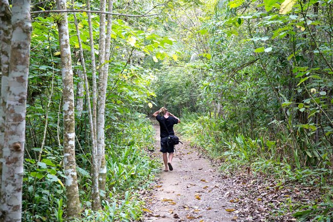 Tour del Parque Nacional Topes de Collantes Photo