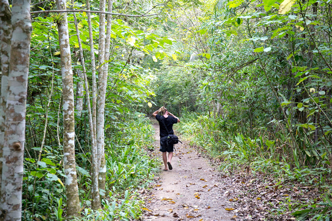 Topes de Collantes Natural Park Tour Photo