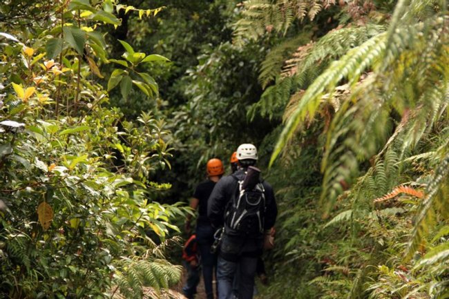 Canopy Tour Tree Trek en Boquete Photo