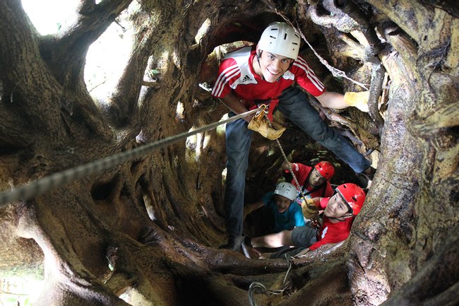 Treetop Climbing Photo