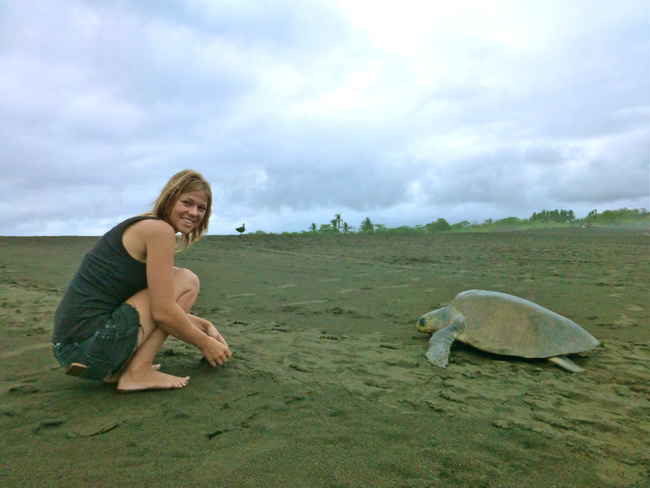 Turtle Conservation Intern on the Pacific Coast Photo