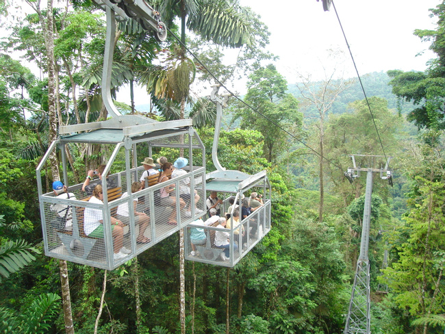 Bosque Lluvioso Veragua Photo