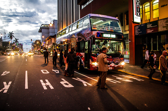 VIP Bus Afternoon City Tour Photo