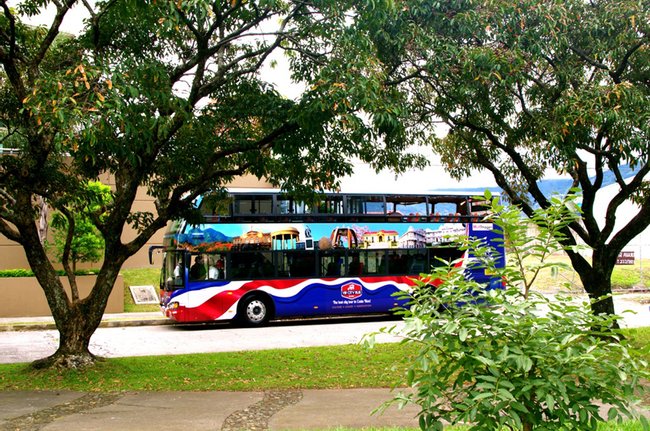 Tour VIP en bus por San José Photo