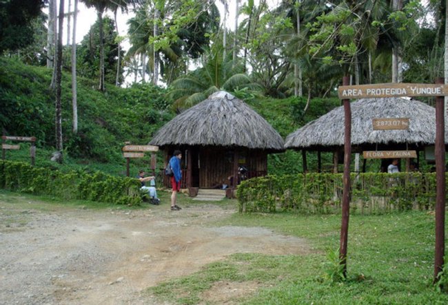 Visita a El Yunque Photo