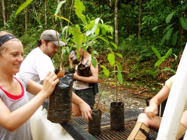 Reforestation & Recycling Volunteer Photo