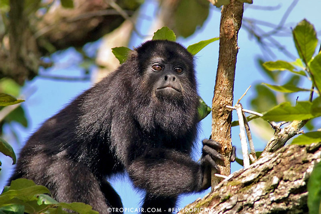 Aventura de Tirolesa y Zoológico Photo