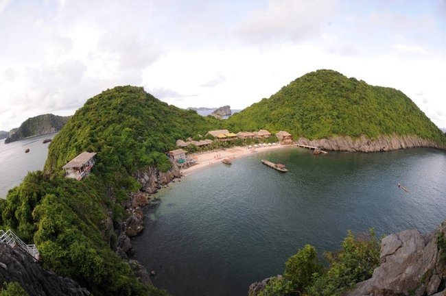 Monkey Island Resort Photo