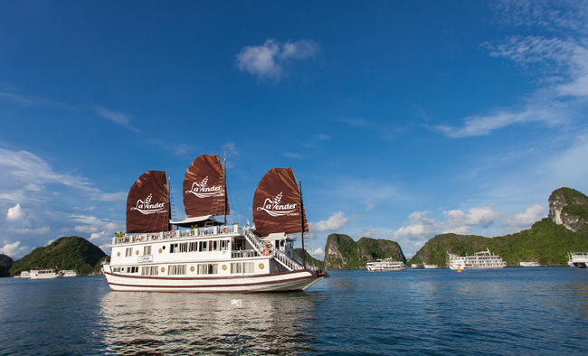 Overnight Lavender Cruise Photo