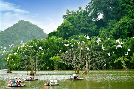 Hanoi - Tam Coc - Thung Nham Bird Watching 1 day tour Photo