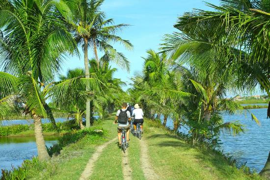 Hoi An Countryside Biking Half-Day with Lunch Photo