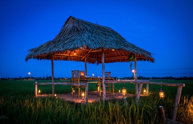 Romantic Dinning on Paddy Field in Hoi An  Photo