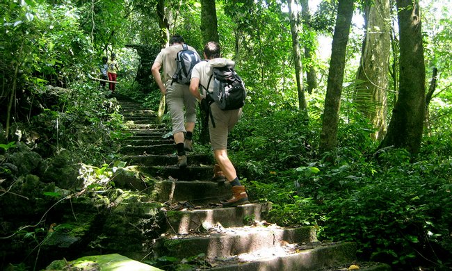 Cuc Phuong National Park Hiking Photo