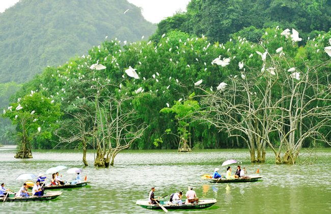 Thung Nham Bird Park Tour Photo