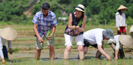 Vietnam Cultural Tours Image