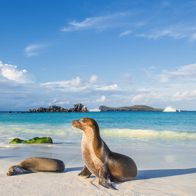 What is Ecuador's Landscape Like? Image