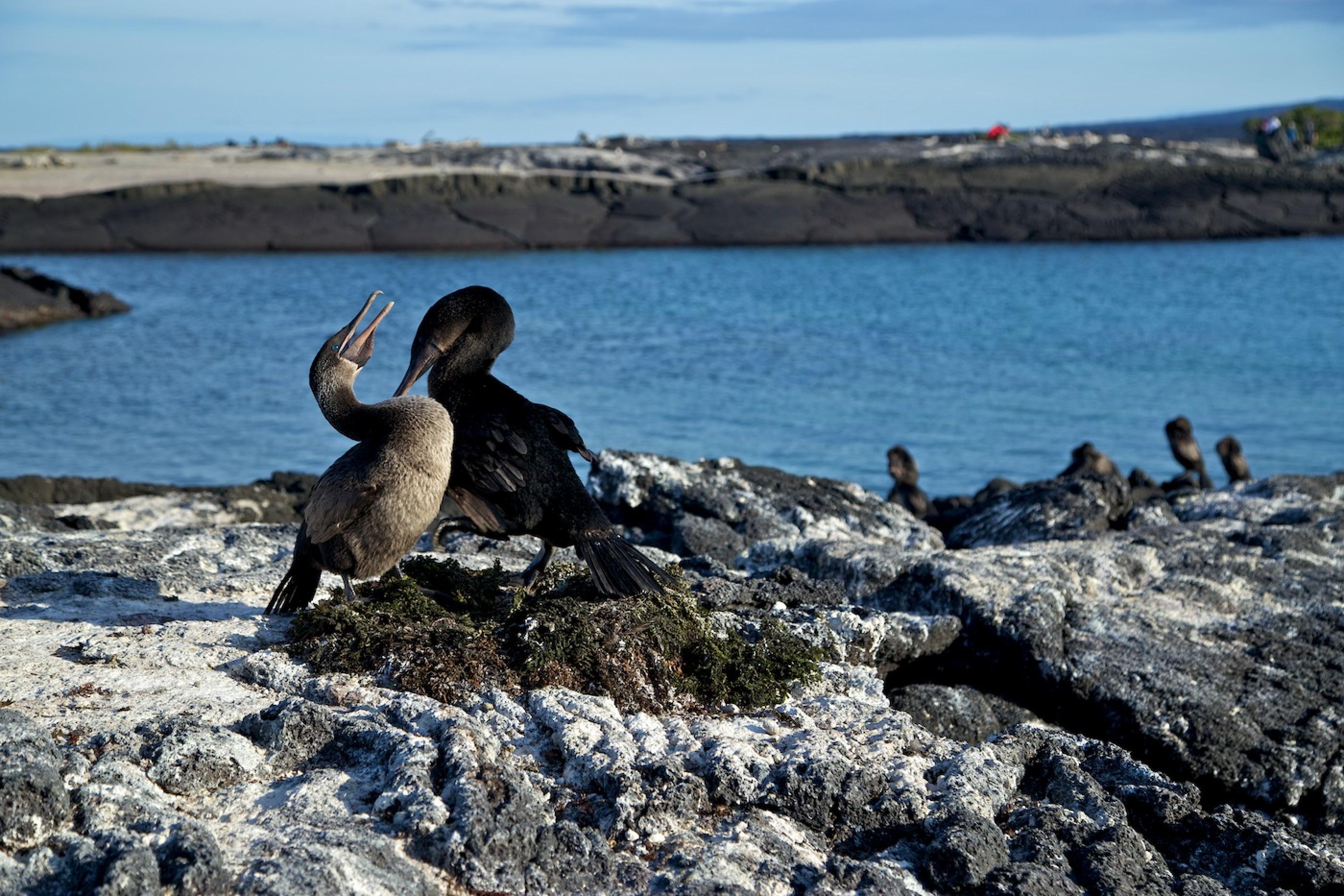 7 Enchanting Places to Go Bird Watching in Ontario | Northern Ontario Travel